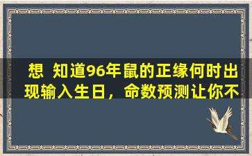 想  知道96年鼠的正缘何时出  现输入生日，命数预测让你不再迷茫！